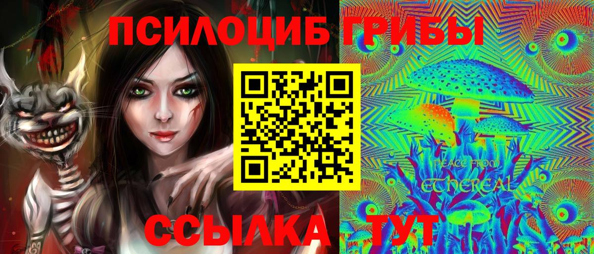 Сергиев Посад  Галлюциногенные грибы мицелий  купить наркотики цена  Псилоцибиновые грибы Psilocybe  Вход с VPN 